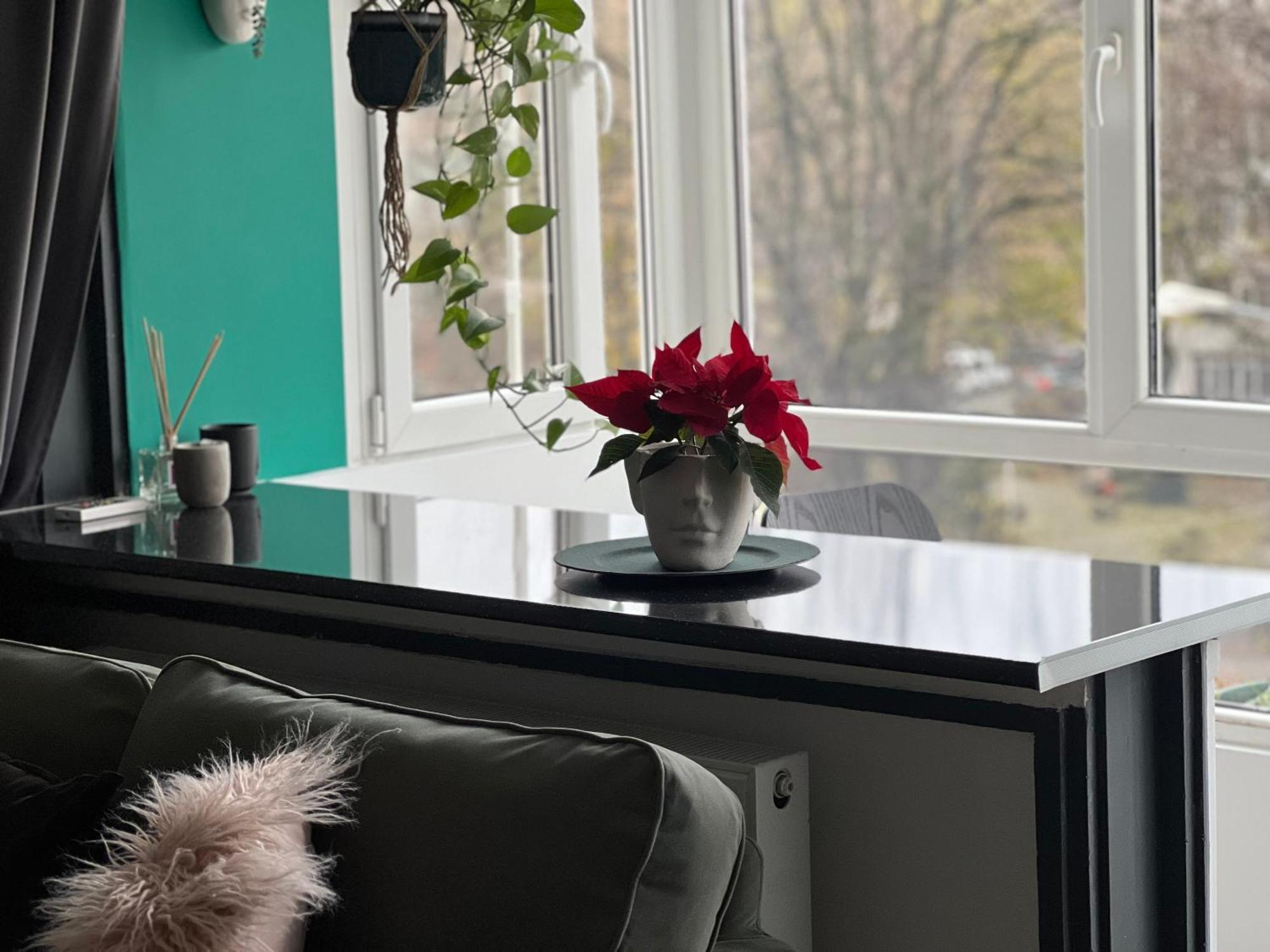 Cosy Studio Floreasca 布加勒斯特 外观 照片