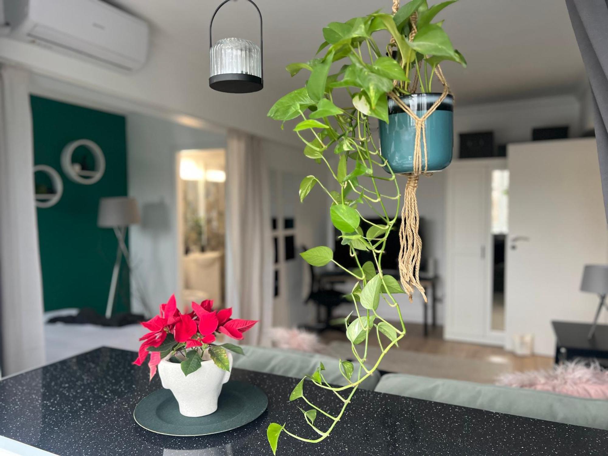 Cosy Studio Floreasca 布加勒斯特 外观 照片
