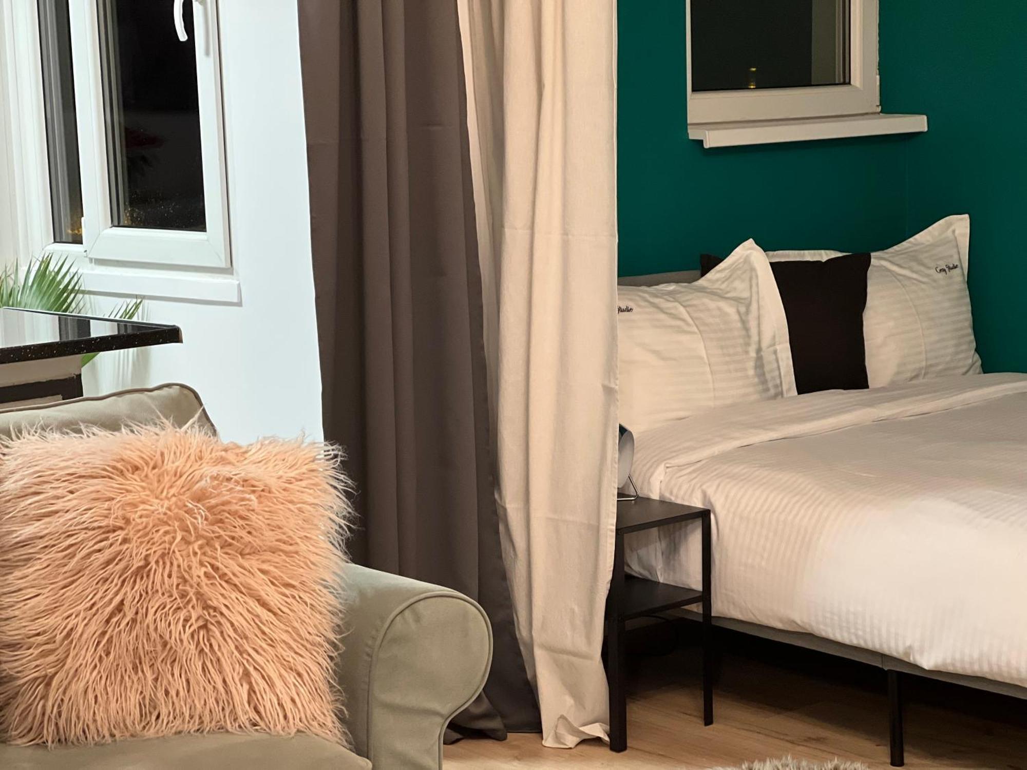 Cosy Studio Floreasca 布加勒斯特 外观 照片