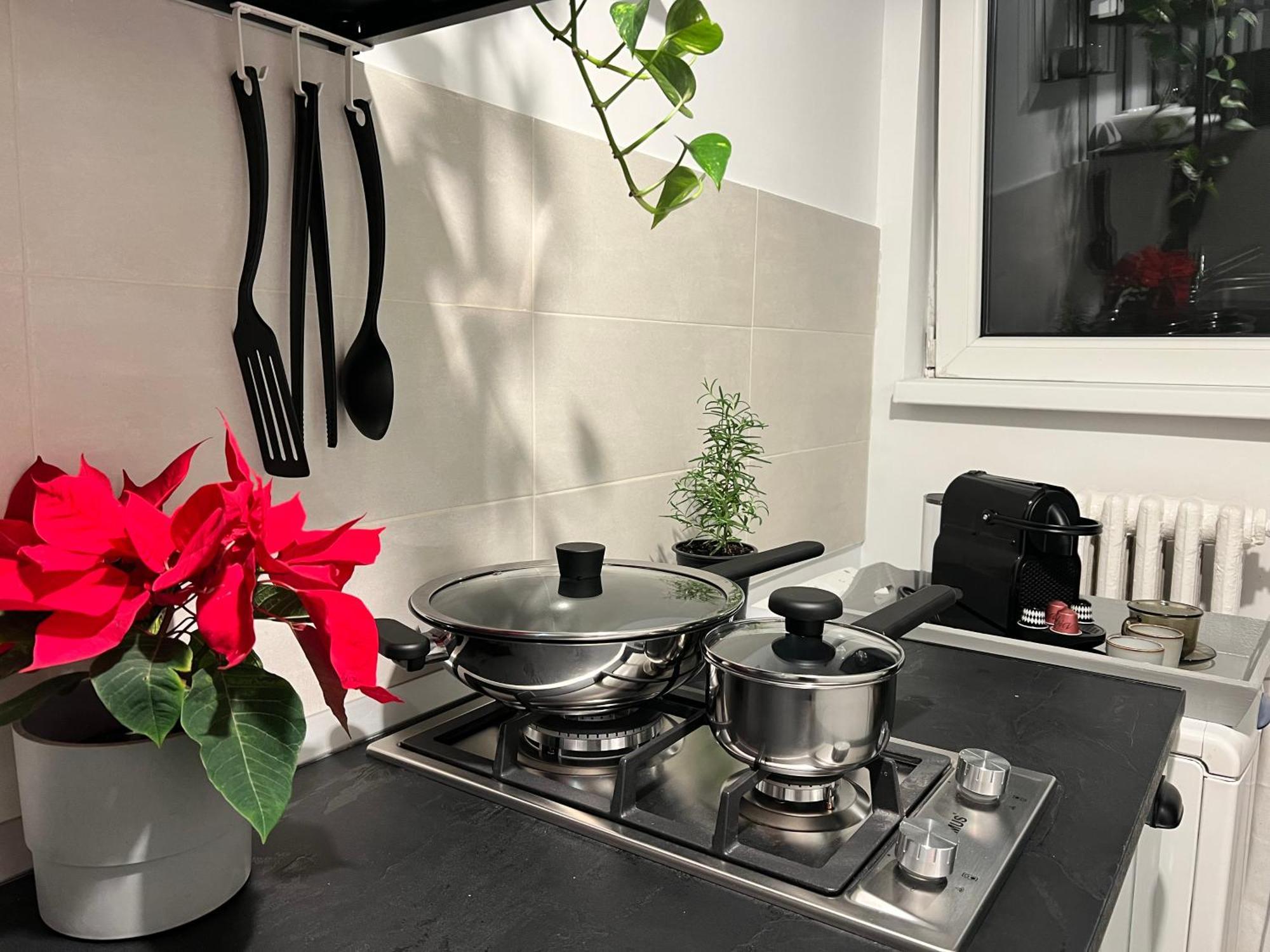 Cosy Studio Floreasca 布加勒斯特 外观 照片