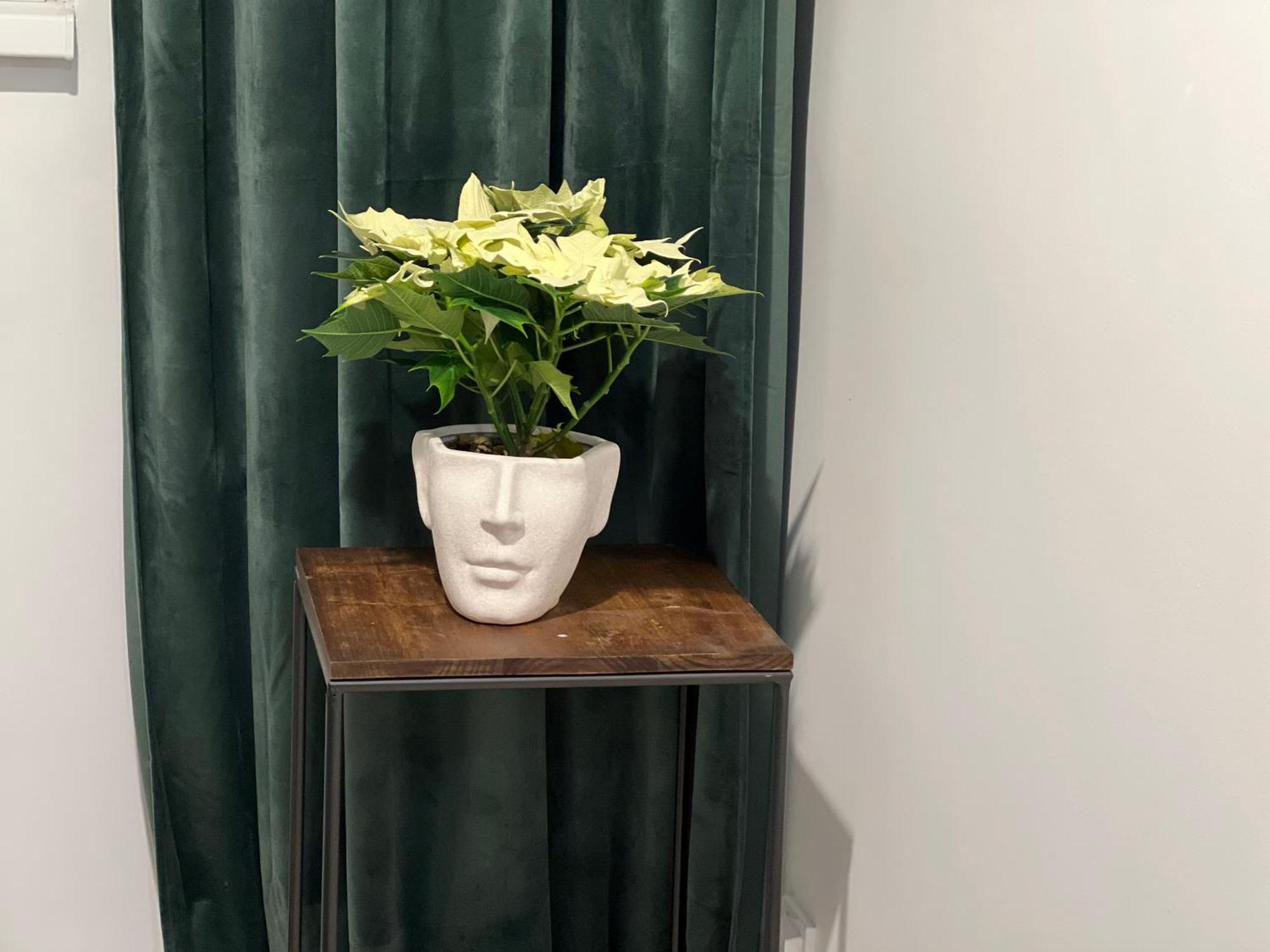 Cosy Studio Floreasca 布加勒斯特 外观 照片