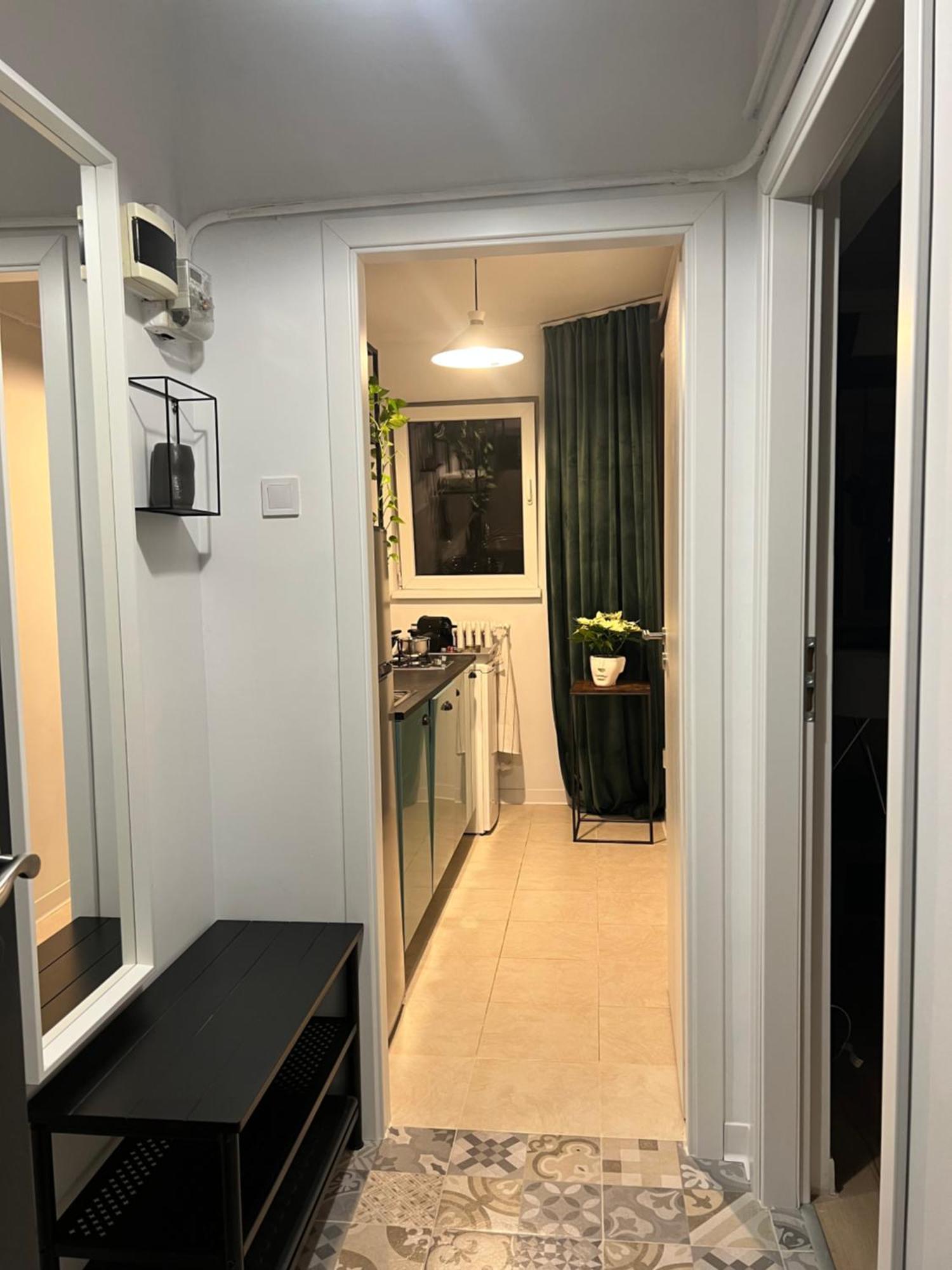 Cosy Studio Floreasca 布加勒斯特 外观 照片