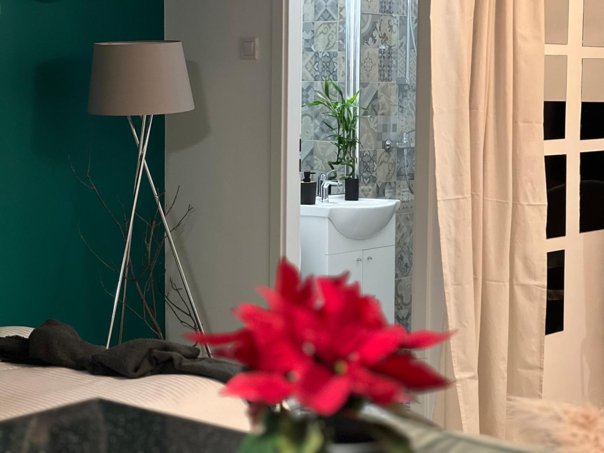 Cosy Studio Floreasca 布加勒斯特 外观 照片
